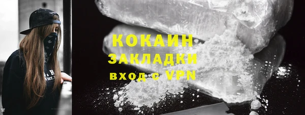 ГАЛЛЮЦИНОГЕННЫЕ ГРИБЫ Пересвет