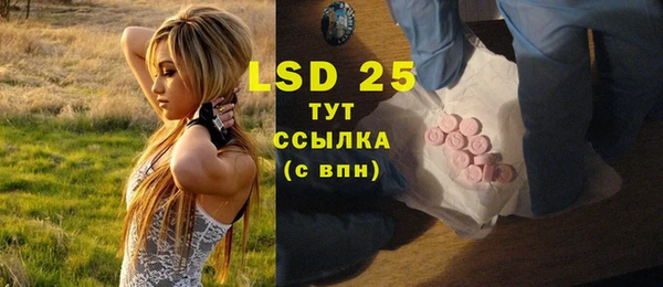 ГАЛЛЮЦИНОГЕННЫЕ ГРИБЫ Пересвет