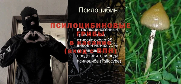 ECSTASY Гатчина