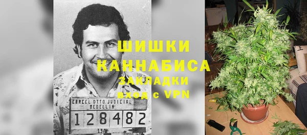 ГАЛЛЮЦИНОГЕННЫЕ ГРИБЫ Пересвет