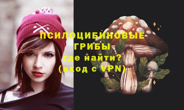 ALPHA PVP Переславль-Залесский